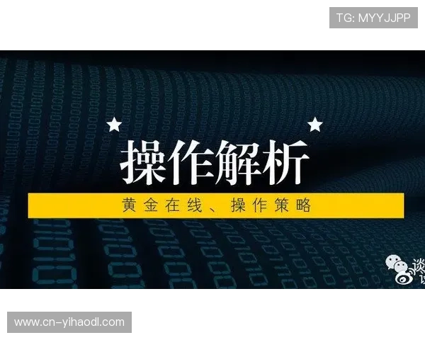 壹号平台登录遇到问题时的详细解决方案与操作指南